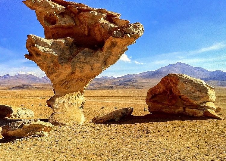 The Rock Tree Salar de Uyuni Bolivia