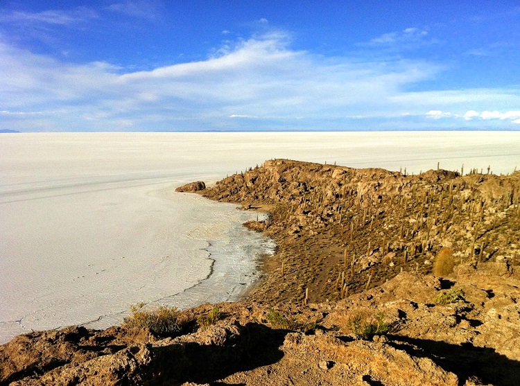 Inca Huasi (Fish Island) Uyuni Bolivia