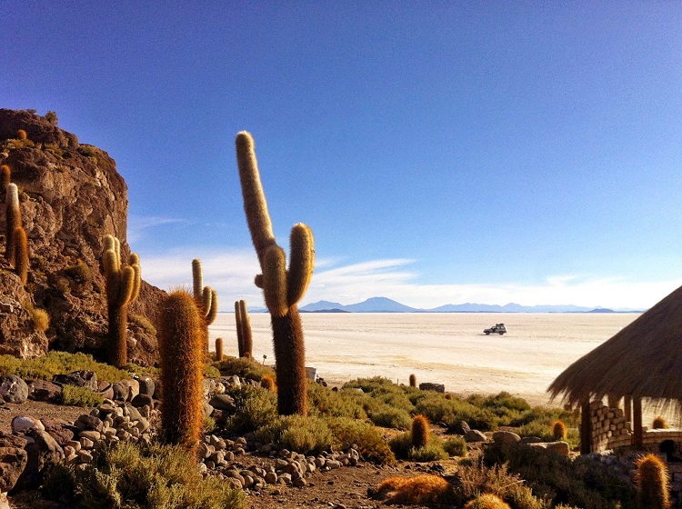 Uyuni's Cactus Island Bolivia