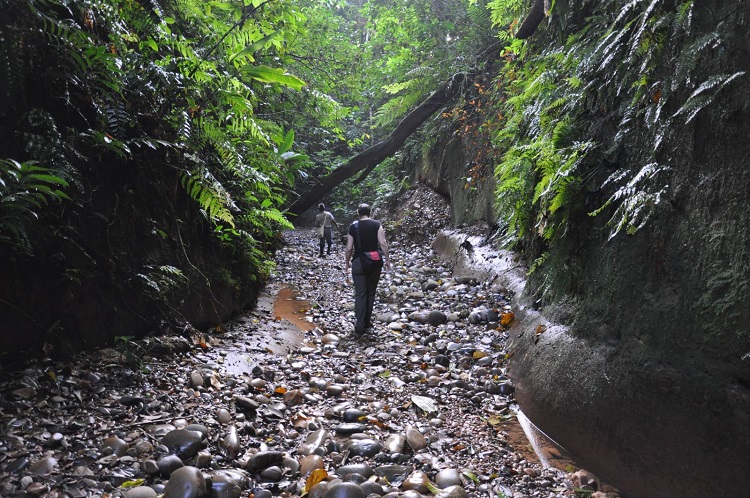 madidi national park bolivia