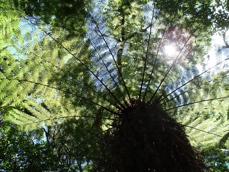 amboro national park bolivia 5