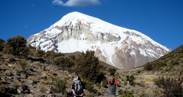 Nature And Wildlife Itinerary For Bolivia