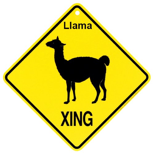 llama gift bolivia 7