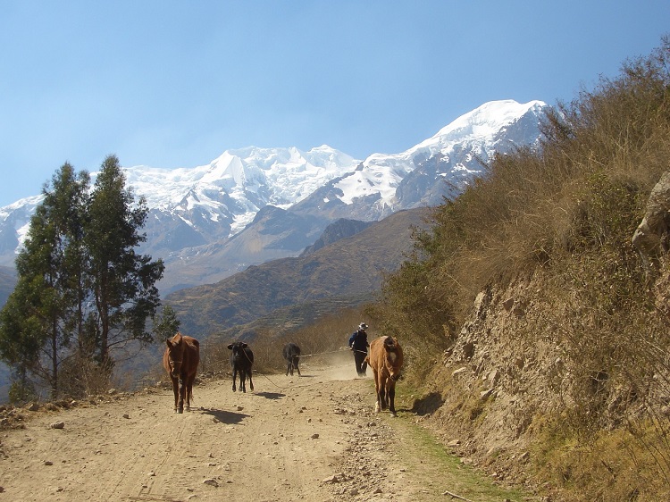 a guide to bus travel in bolivia 3