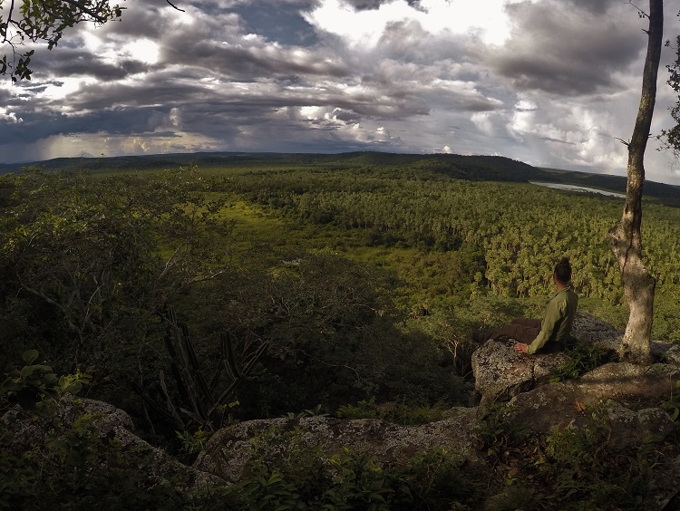 San Miguelito Jaguar Conservation Reserve